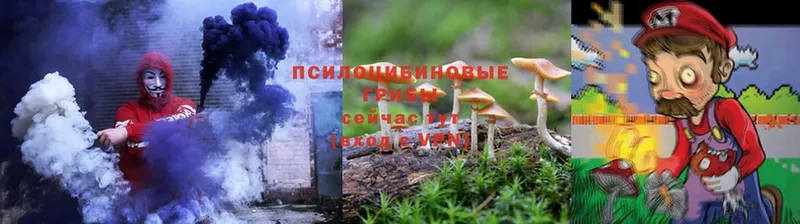 Псилоцибиновые грибы Psilocybine cubensis  купить наркотики цена  ОМГ ОМГ зеркало  Владикавказ 